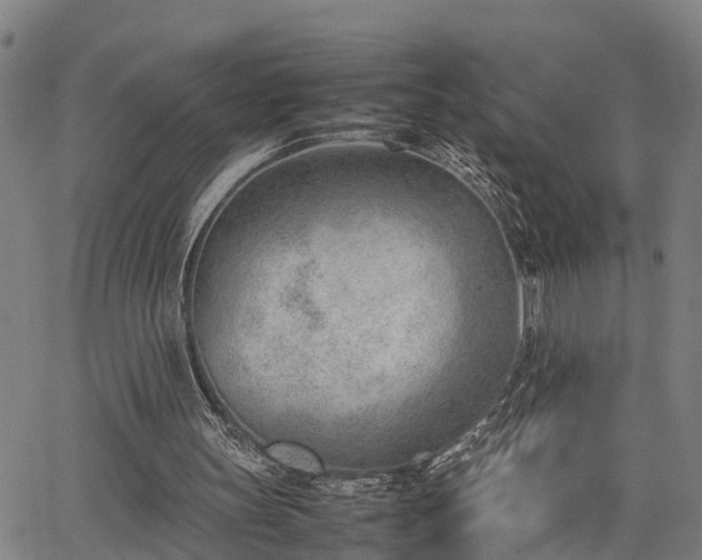 X0000064750147200602131235