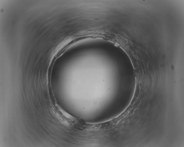 X0000064750148200602131235