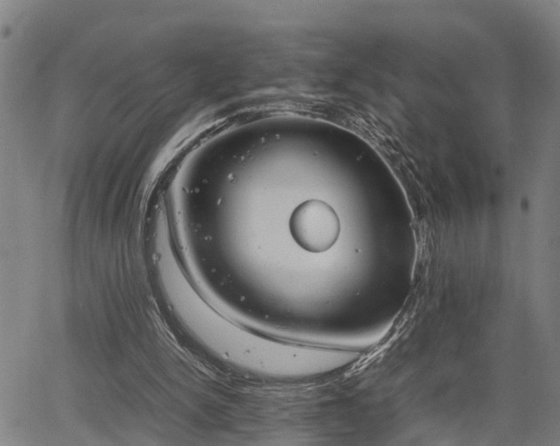 X0000064750150200602131235