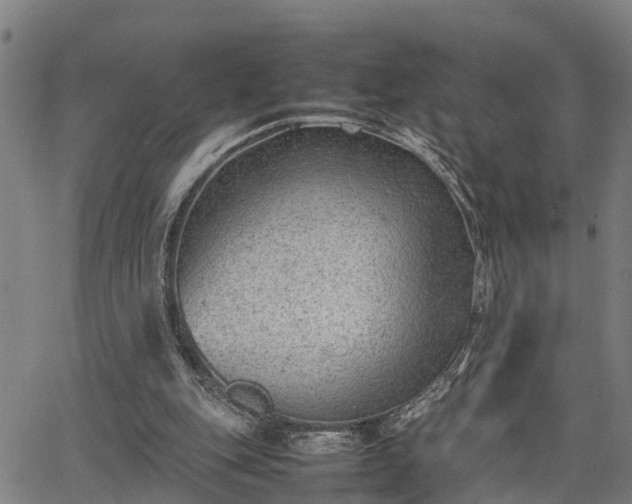 X0000064750151200602131235