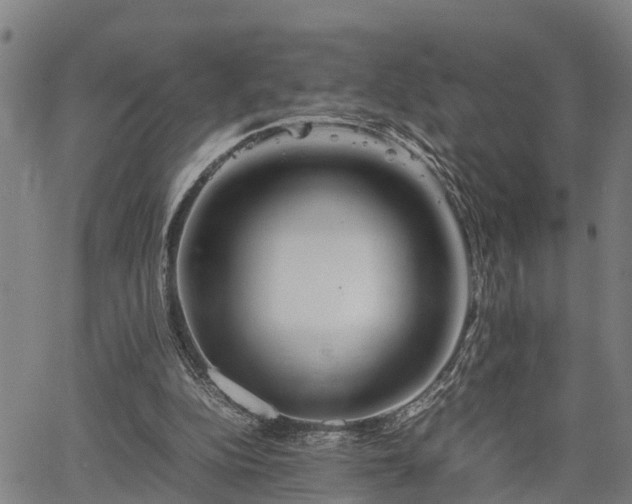 X0000064750152200602131235