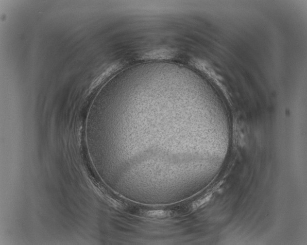 X0000064750153200602131235