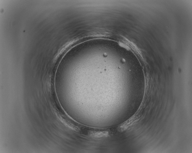 X0000064750155200602131235