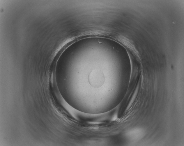 X0000064750156200602131235