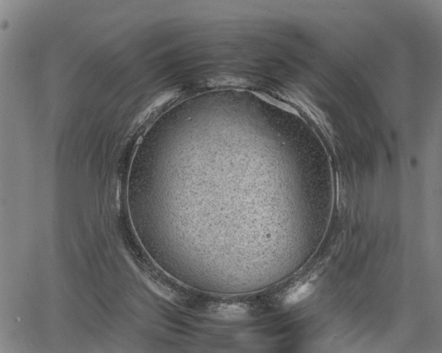 X0000064750157200602131235