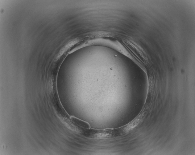 X0000064750158200602131235