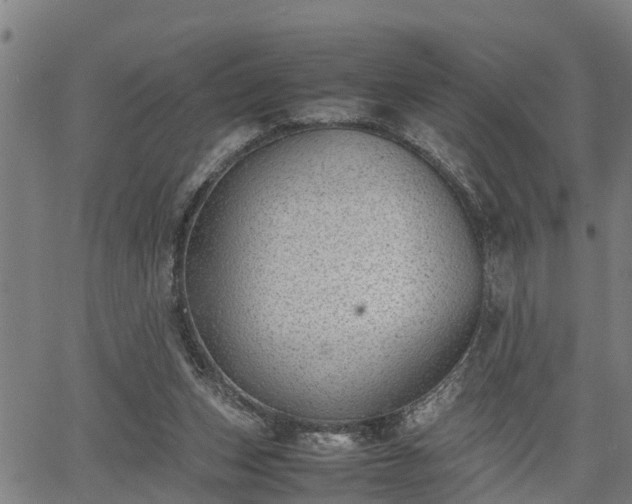 X0000064750159200602131235