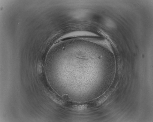 X0000064750161200602131235