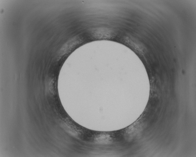 X0000064750162200602131235