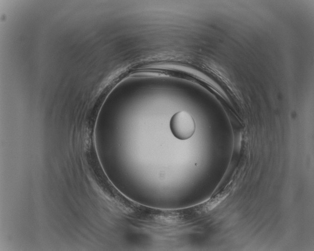 X0000064750164200602131235