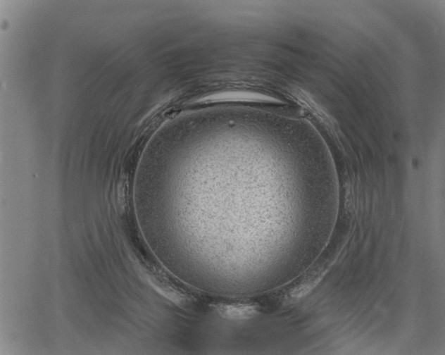 X0000064750165200602131235