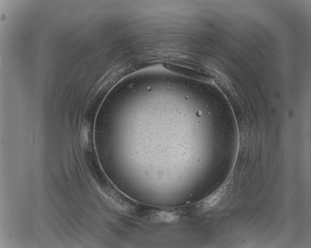 X0000064750166200602131235