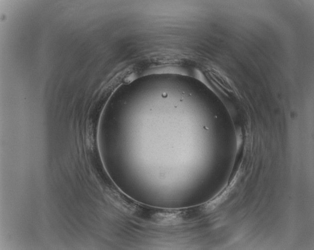 X0000064750170200602131235