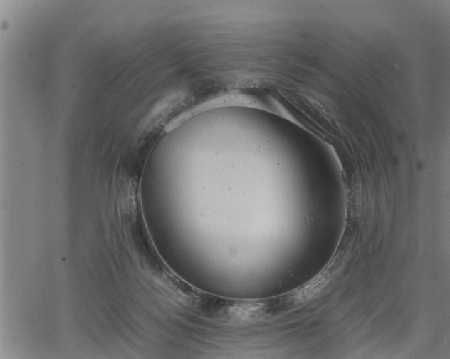 X0000064750172200602131235