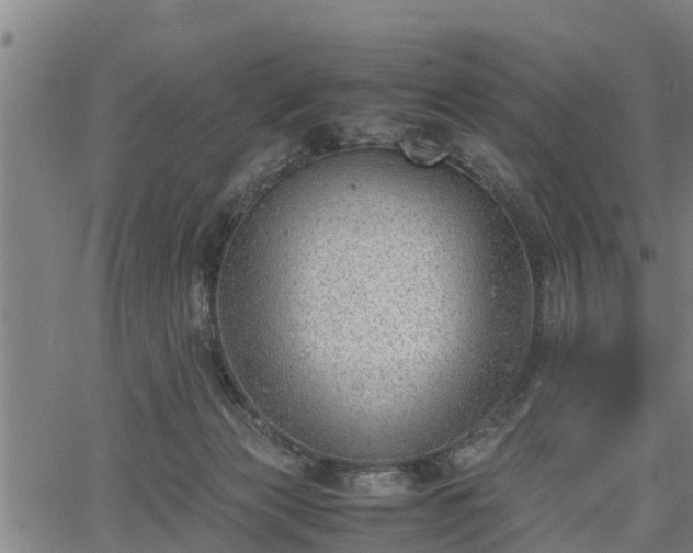 X0000064750173200602131235