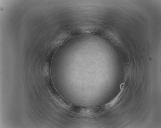 X0000064750174200602131235