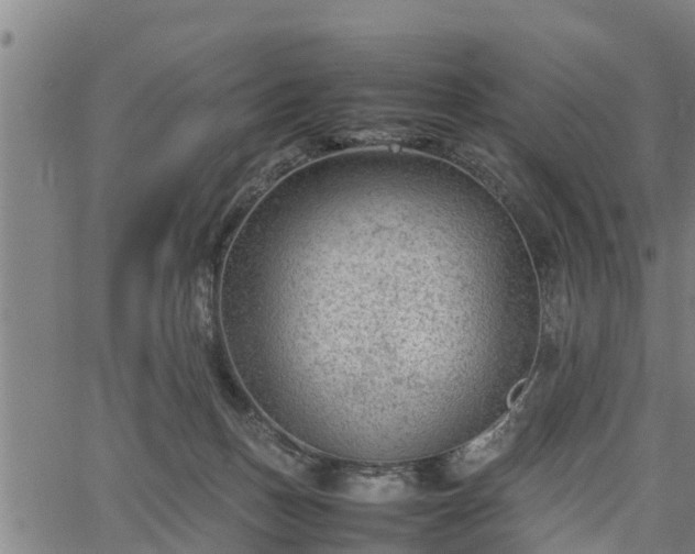 X0000064750175200602131235