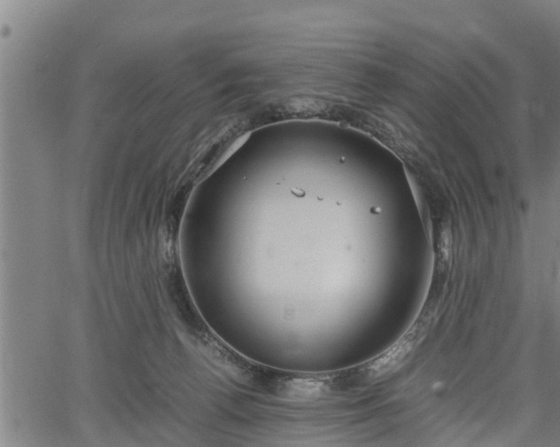 X0000064750176200602131235