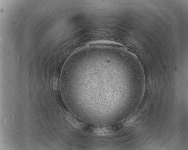 X0000064750177200602131235