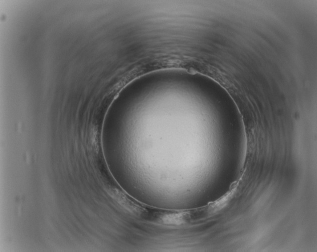 X0000064750178200602131235