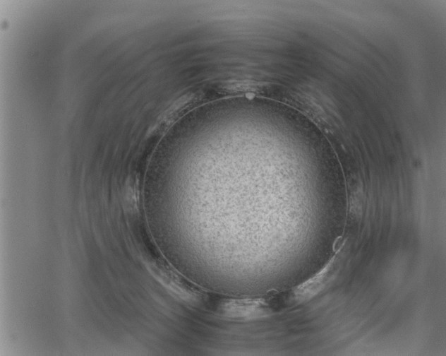 X0000064750179200602131235