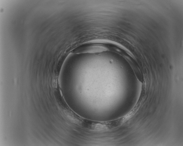 X0000064750180200602131235