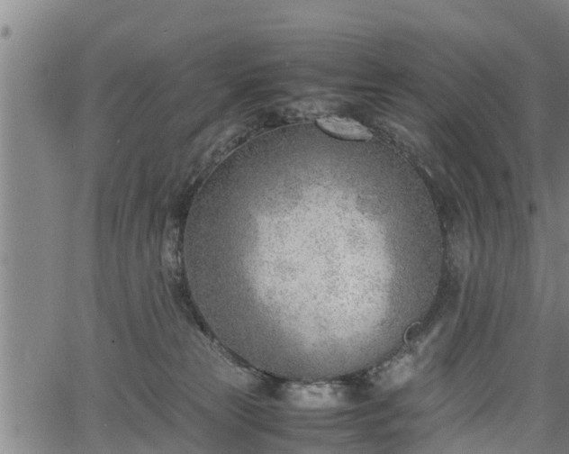 X0000064750181200602131235