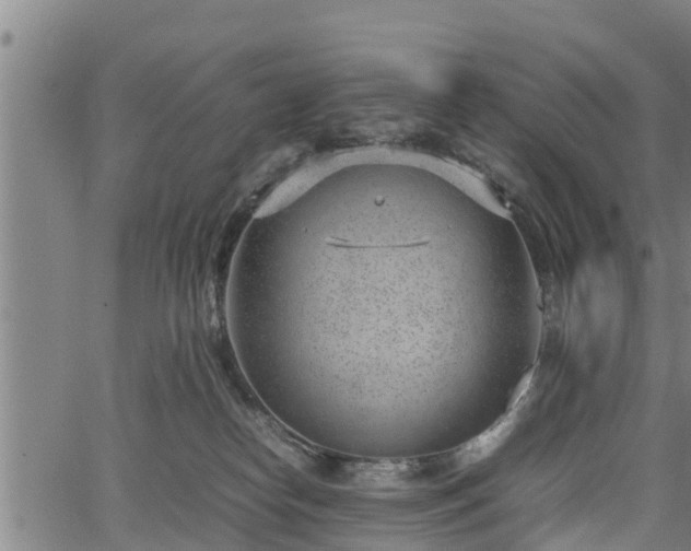 X0000064750182200602131235