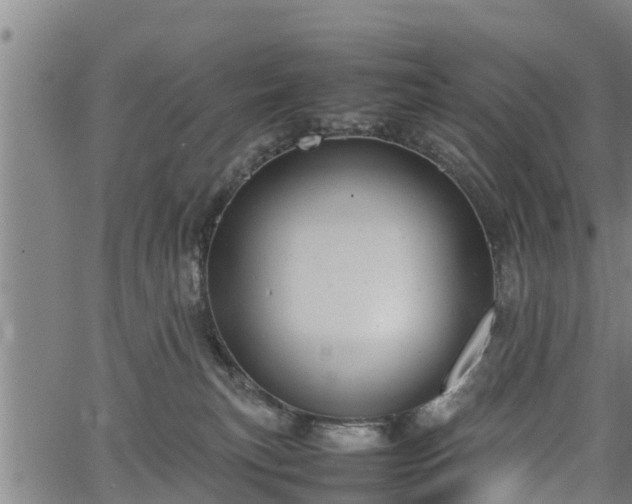 X0000064750183200602131236