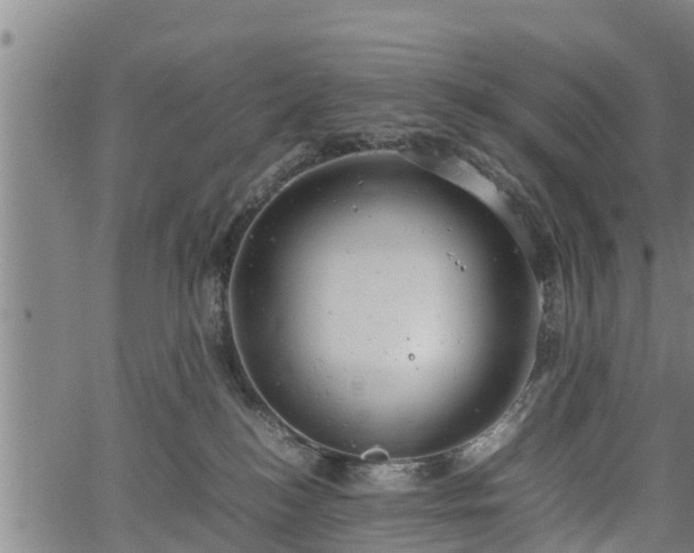 X0000064750184200602131236