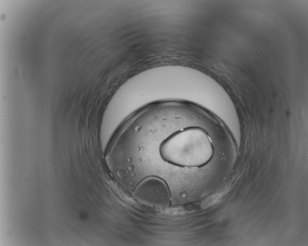 X0000064750185200602131236