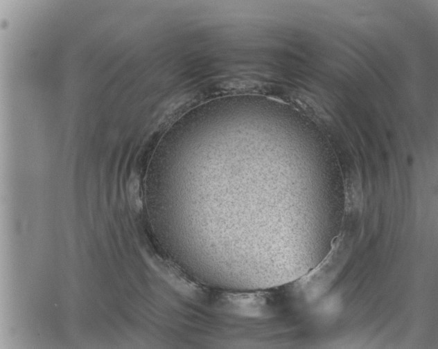 X0000064750187200602131236