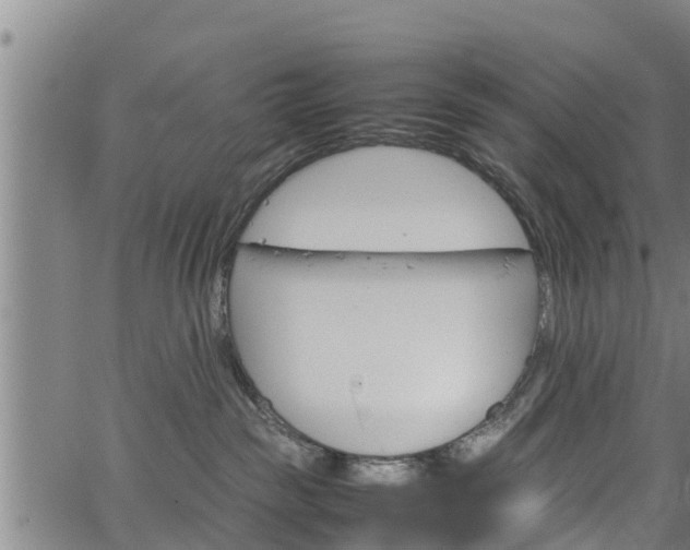 X0000064750189200602131236