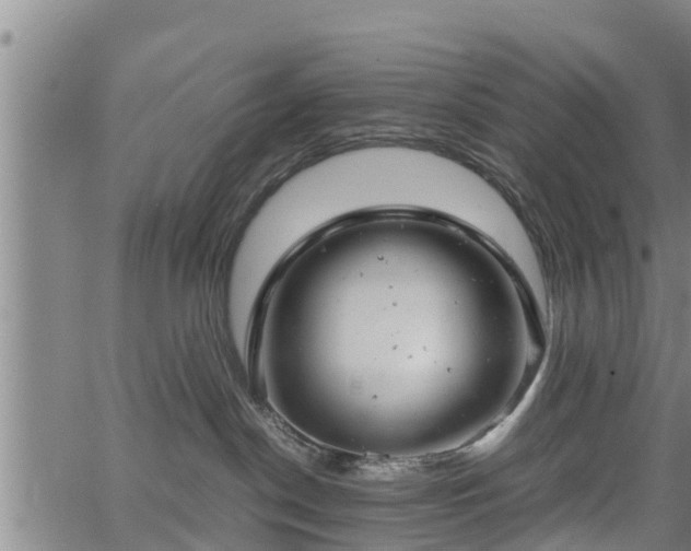 X0000064750190200602131236