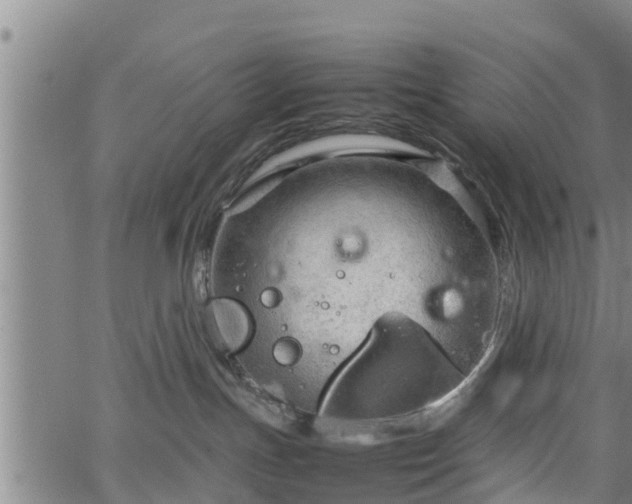 X0000064750191200602131236