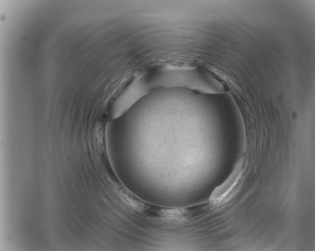 X0000064750192200602131236