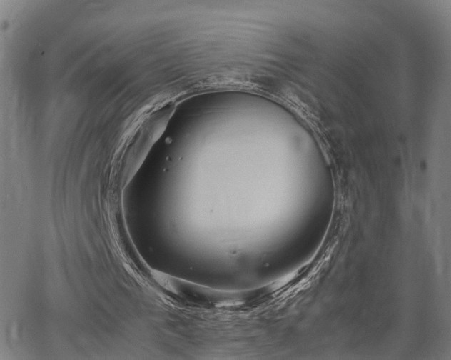 X0000064750193200602131235