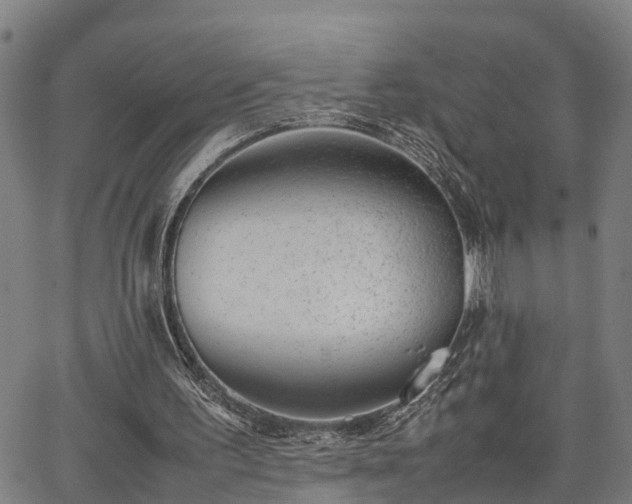 X0000064750195200602131235