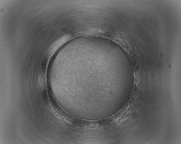 X0000064750196200602131235