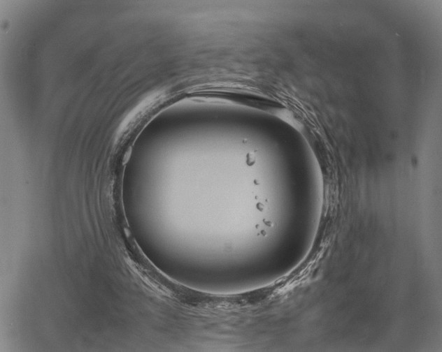 X0000064750197200602131235