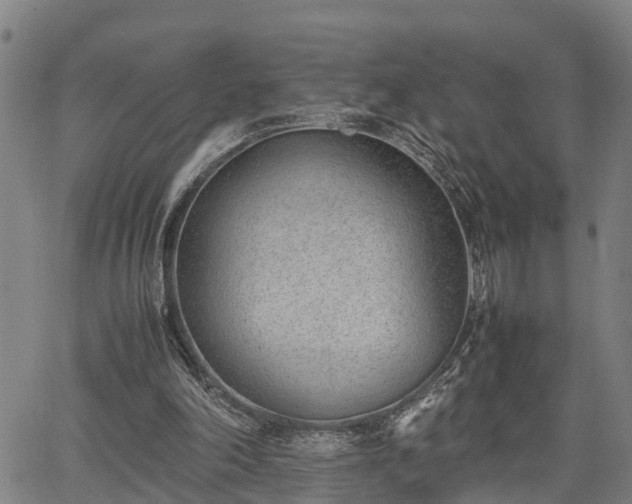 X0000064750198200602131235