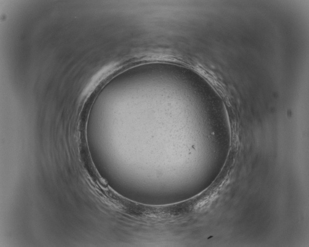 X0000064750199200602131235