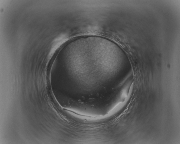 X0000064750200200602131235