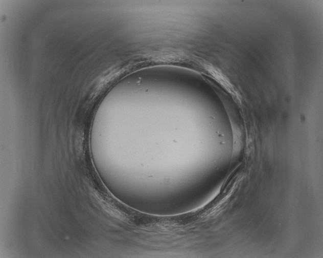 X0000064750201200602131235