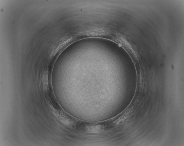 X0000064750202200602131235