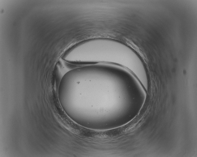 X0000064750203200602131235