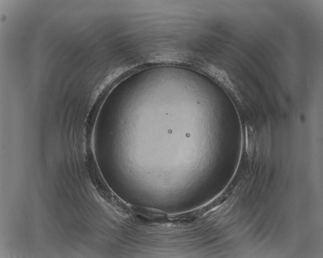 X0000064750204200602131235