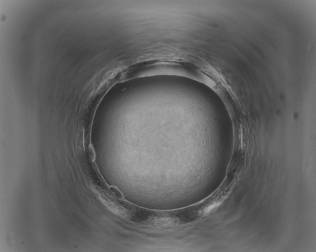 X0000064750205200602131235