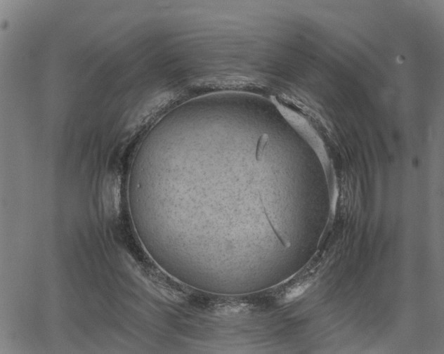 X0000064750206200602131235