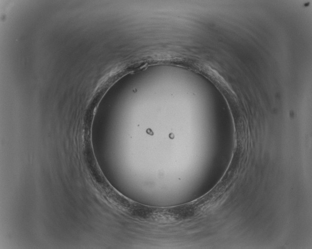 X0000064750207200602131235